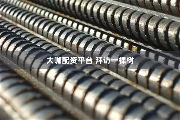 大咖配资平台 拜访一棵树